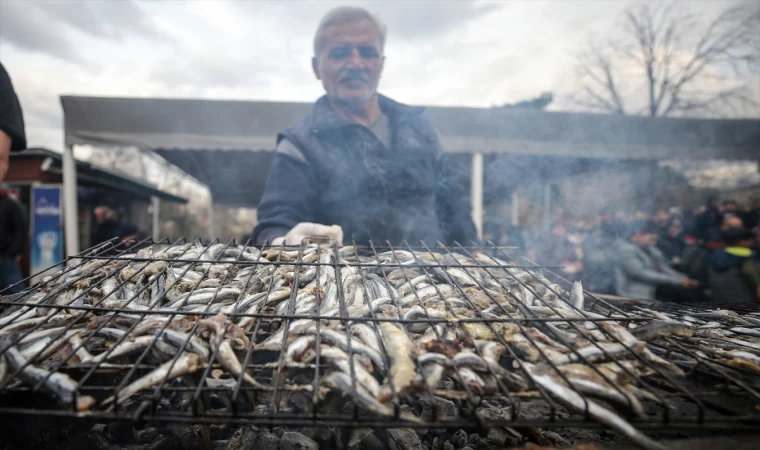Karadeniz Festival Turu: Yayla Şenliklerinden Hamsi Festivallerine