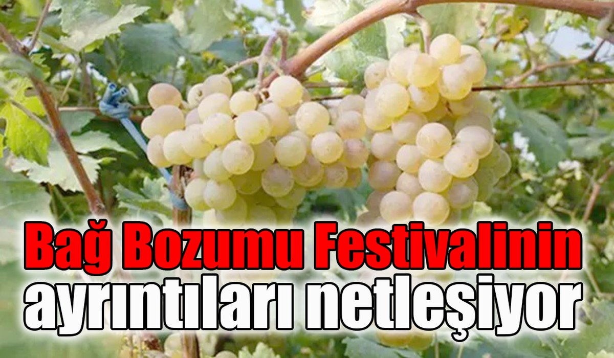 Adıyaman Besni Üzüm Festivali