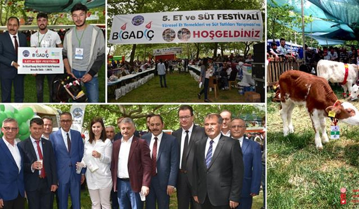 Balıkesir Bigadiç Bor Festivali