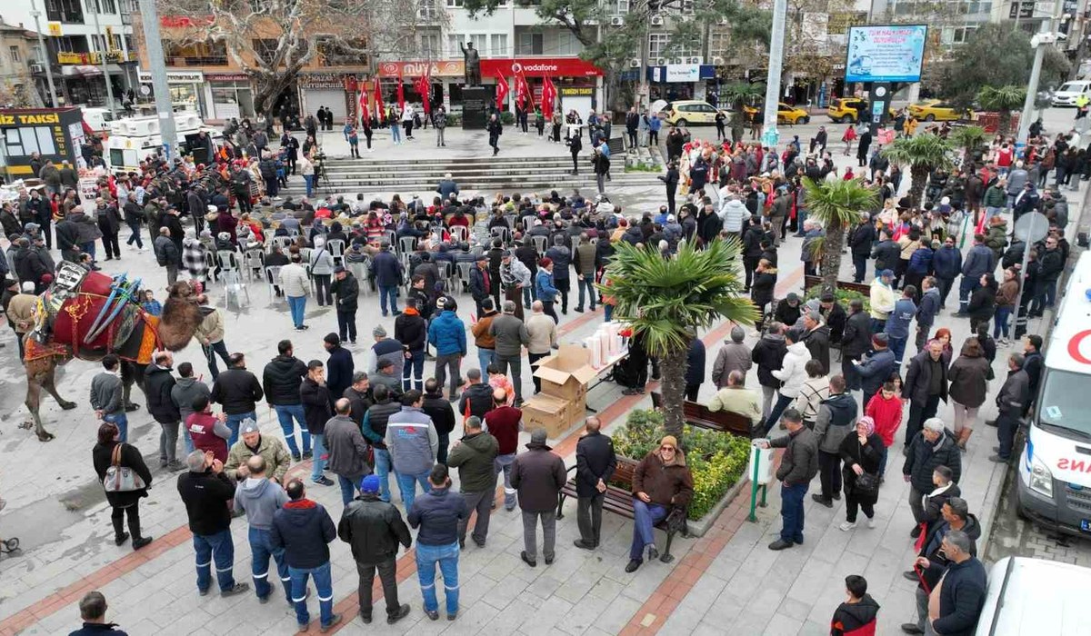 Burhaniye Zeytin ve Zeytinyağı Hasat Festivali