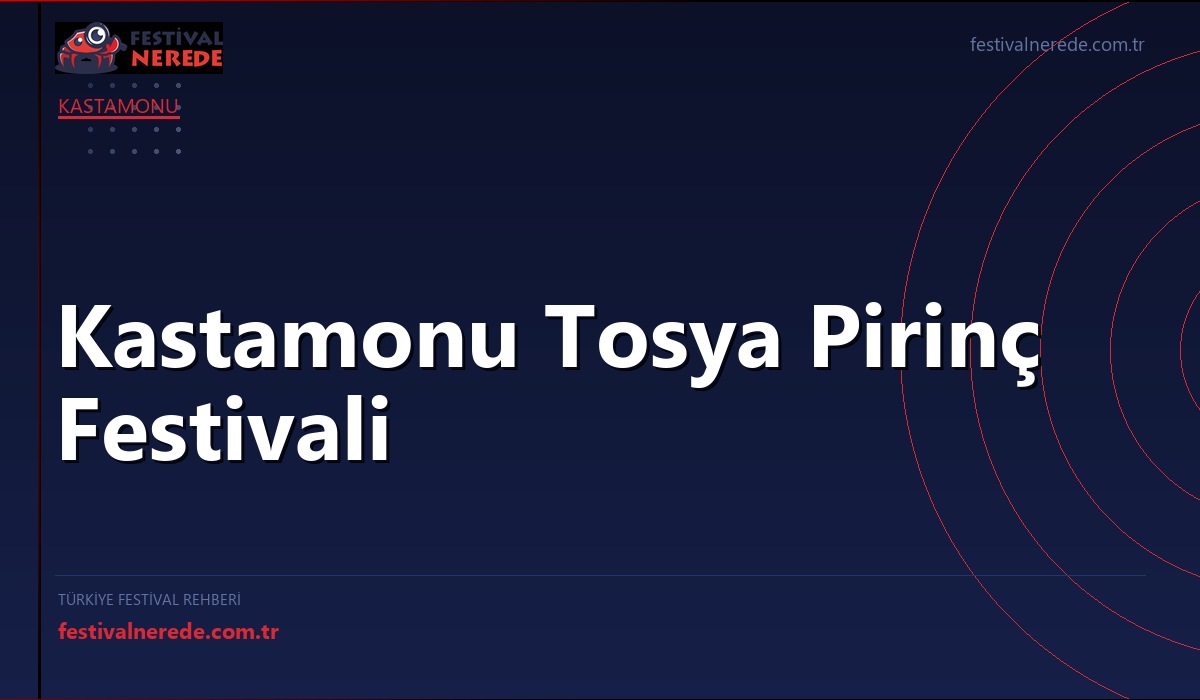 Kastamonu Tosya Pirinç Festivali
