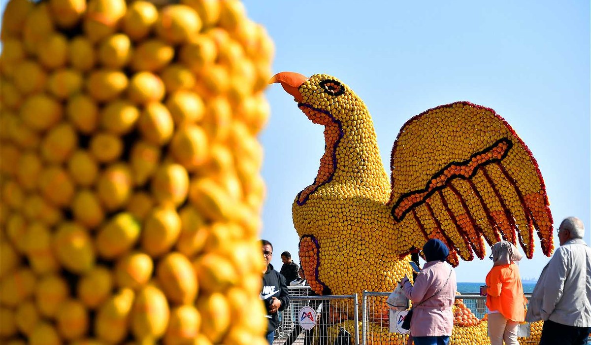 Mersin Erdemli Narenciye Festivali